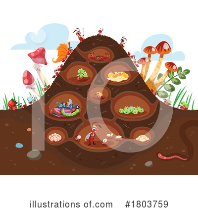 Mushrooms Clipart #1803759 by Vector Tradition SM