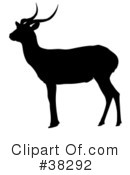 Antelope Clipart #38292 by dero