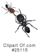Ants Clipart #25115 by Leo Blanchette