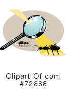 Ants Clipart #72888 by r formidable
