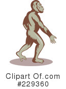 Ape Clipart #229360 by patrimonio