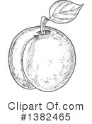 Apricot Clipart #1382465 by Vector Tradition SM