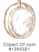 Apricot Clipart #1390321 by Vector Tradition SM