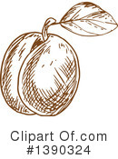 Apricot Clipart #1390324 by Vector Tradition SM