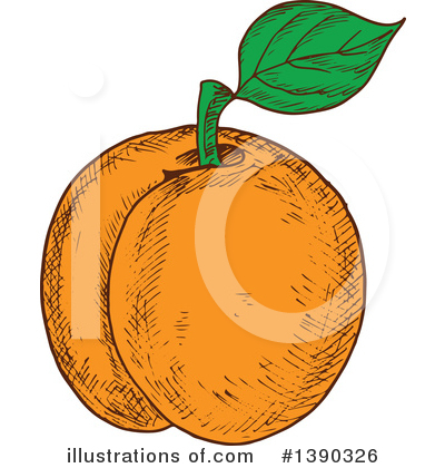 Apricot Clipart #1390326 by Vector Tradition SM