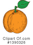 Apricot Clipart #1390326 by Vector Tradition SM