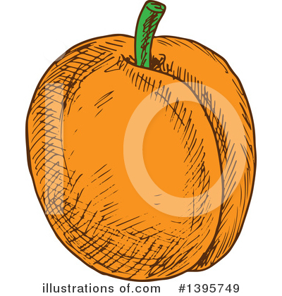 Royalty-Free (RF) Apricot Clipart Illustration by Vector Tradition SM - Stock Sample #1395749