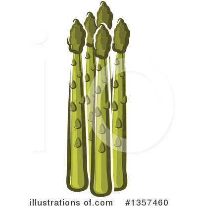 Asparagus Clipart #1357460 by Vector Tradition SM