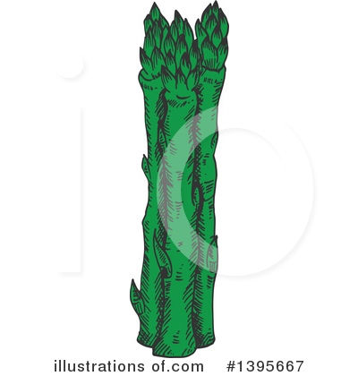 Asparagus Clipart #1395667 by Vector Tradition SM