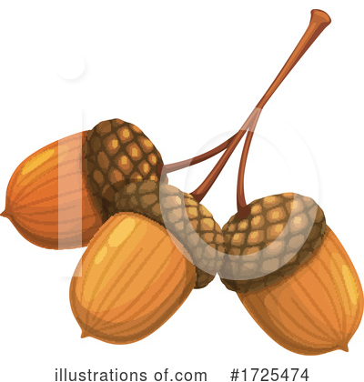Acorn Clipart #1725474 by Vector Tradition SM