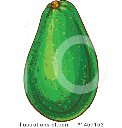 Royalty-Free (RF) Avocado Clipart Illustration by Vector Tradition SM - Stock Sample #1457153