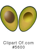 Avocado Clipart #5600 by djart