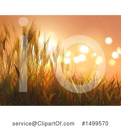 Wheat Clipart #1499570 by KJ Pargeter