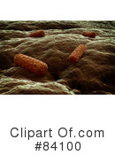 Bacteria Clipart #84100 by Mopic
