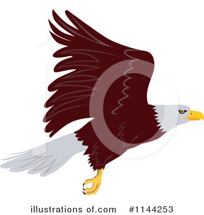 Royalty-Free (RF) Bald Eagle Clipart Illustration by patrimonio - Stock Sample #1144253