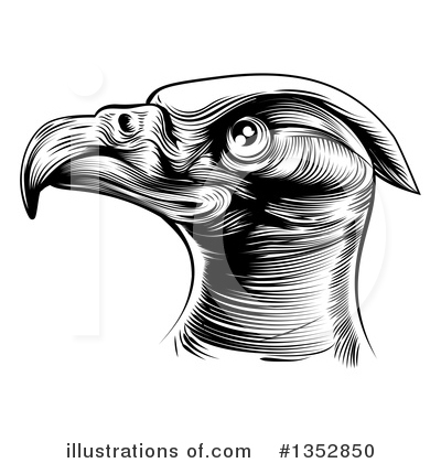 Royalty-Free (RF) Bald Eagle Clipart Illustration by AtStockIllustration - Stock Sample #1352850