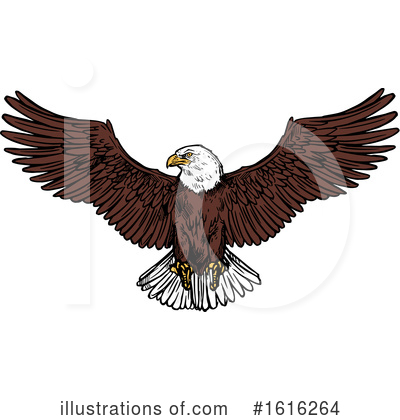 Bald Eagle Clipart #1616264 by Vector Tradition SM
