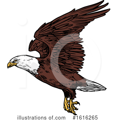 Royalty-Free (RF) Bald Eagle Clipart Illustration by Vector Tradition SM - Stock Sample #1616265