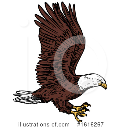 Royalty-Free (RF) Bald Eagle Clipart Illustration by Vector Tradition SM - Stock Sample #1616267