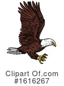 Bald Eagle Clipart #1616267 by Vector Tradition SM