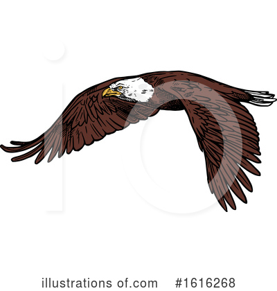 Bald Eagle Clipart #1616268 by Vector Tradition SM