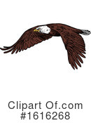 Bald Eagle Clipart #1616268 by Vector Tradition SM