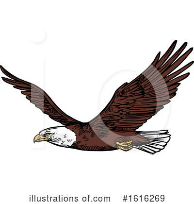 Bald Eagle Clipart #1616269 by Vector Tradition SM