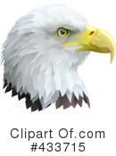 Bald Eagle Clipart #433715 by AtStockIllustration