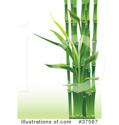 Royalty-Free (RF) Bamboo Clipart Illustration by Eugene - Stock Sample #37567