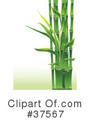 Bamboo Clipart #37567 by Eugene
