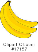 Banana Clipart #17157 by Maria Bell