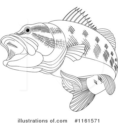 Royalty-Free (RF) Bass Fish Clipart Illustration by Pushkin - Stock Sample #1161571