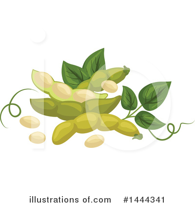 Royalty-Free (RF) Bean Clipart Illustration by Vector Tradition SM - Stock Sample #1444341