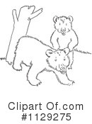 Bear Clipart #1129275 by Picsburg