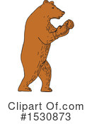 Bear Clipart #1530873 by patrimonio