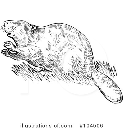 Beaver Clipart #104506 by patrimonio