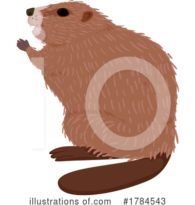 Beaver Clipart #1784543 by BNP Design Studio