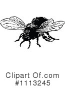 Bee Clipart #1113245 by Prawny Vintage