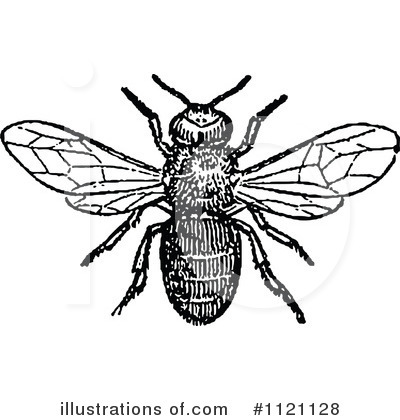 Bees Clipart #1121128 by Prawny Vintage