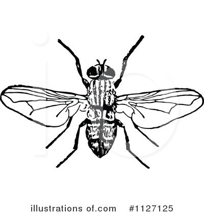 Royalty-Free (RF) Bee Clipart Illustration by Prawny Vintage - Stock Sample #1127125