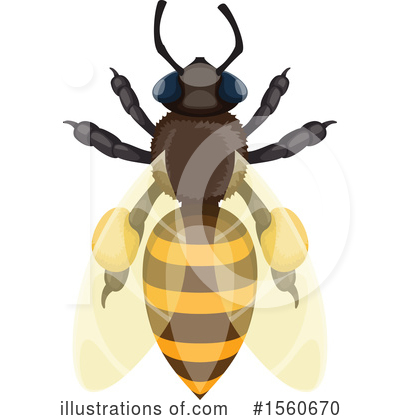 Bee Clipart #1560670 by Vector Tradition SM