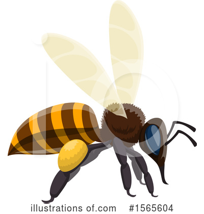 Bee Clipart #1565604 by Vector Tradition SM