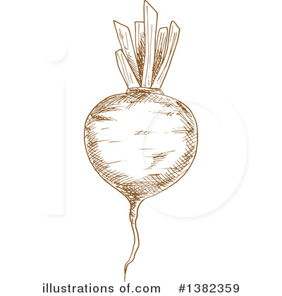 Turnip Clipart #1382359 by Vector Tradition SM