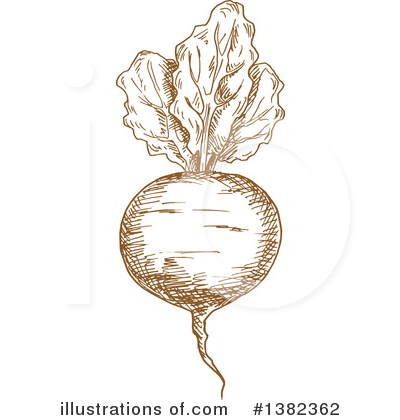 Turnip Clipart #1382362 by Vector Tradition SM
