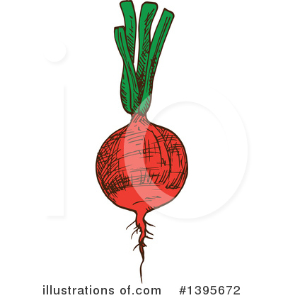 Beets Clipart #1395672 by Vector Tradition SM