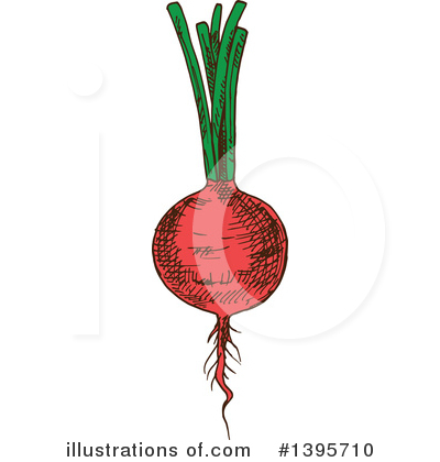 Beets Clipart #1395710 by Vector Tradition SM