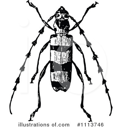 Royalty-Free (RF) Beetle Clipart Illustration by Prawny Vintage - Stock Sample #1113746