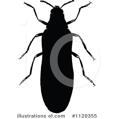 Beetle Clipart #1120355 by Prawny Vintage