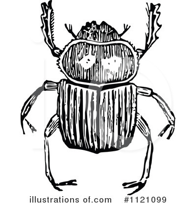 Beetle Clipart #1121099 by Prawny Vintage