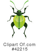 Beetle Clipart #42215 by Paulo Resende